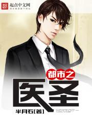 都市医圣陈飞