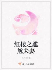 穿越红楼梦尴尬夫妻