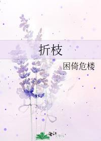 折枝by阿司匹林po