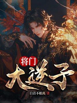 将门大逆子txt电子书