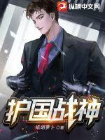 护国战神顾远