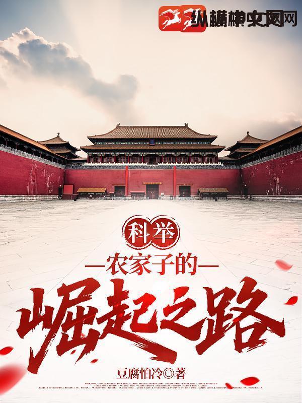 科举农家子的崛起之路动漫