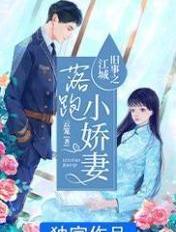 江城旧事之落跑小娇妻讲的啥