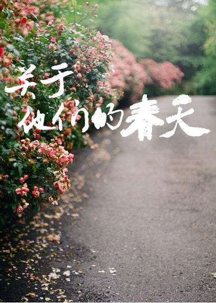 关于他们的春天 酸角糕书包网