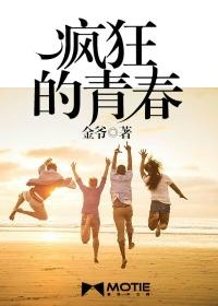 疯狂青春李艳傅平免费阅读全文