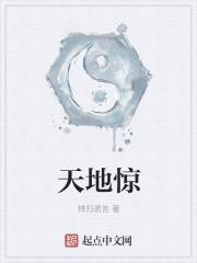 天地惊白