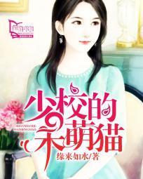 少校的呆萌猫白宸肉车